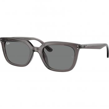 Ray-Ban RB4439D 667587 Men's Sunglasses Grey