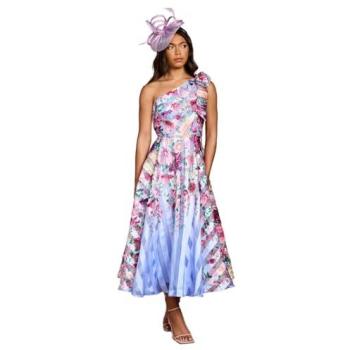 Coast Single-Shoulder Blue Stripe Organza Midi Dress – Female, Size 16