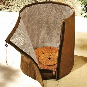 Warm Basin Plant Cover for Trees