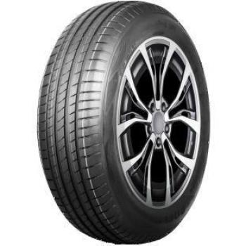 Pneu Delmax UltimaPro UP1 195/65 R15 91H