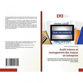 Audit interne et management des risques en entreprise: Evaluation de la contribution de l'audit interne dans le processus de management des risques d'une entité