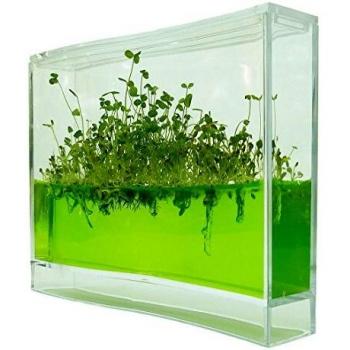 Kit de jardin Plantarium Super