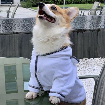 Quick Dry Dog Towel