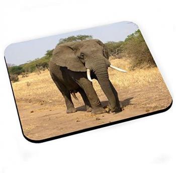 Tapis de souris Photo d'éléphant au cœur de la savane