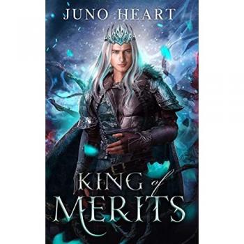 Black Blood Fae: King of Merits