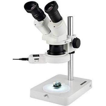20x Binocular Stereo Microscope by Eschenbach with Reflected Light