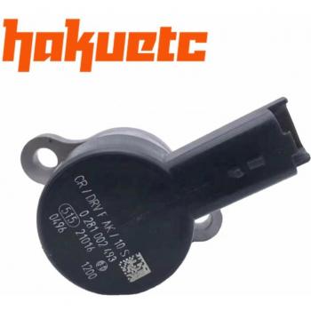 Régulateur de pression de carburant OEM 0281002493 pour Citroën 2.0 2.2 HDi