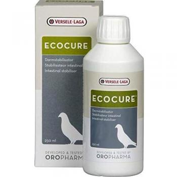 Stabilisateur de Flore Intestinale Ecocure 250ml