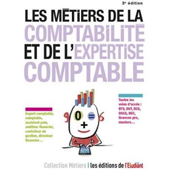 Les Métiers De La Comptabilité, De L'Expertise Comptable Et De L'Audit