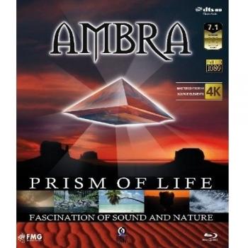Ambra