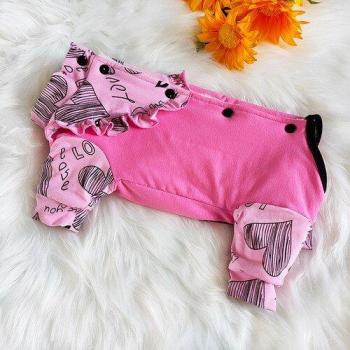 Yorkshire Terrier Winter Coat