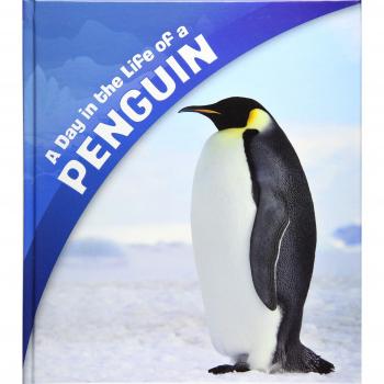A Day in the Life of a Penguin (A+ Books: A Day in the Life)