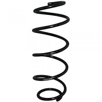 JP GROUP Shock Absorber Spring 1142202800