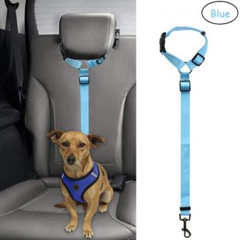 Suministros de viaje para perros y gatos con correa