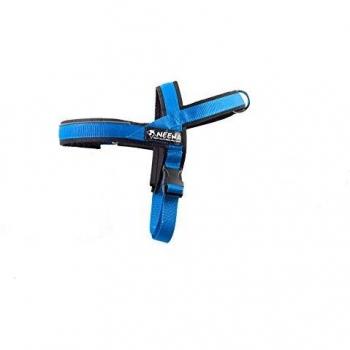 Neewa Athletischer Gurt Blau (klein) – 8033087538298