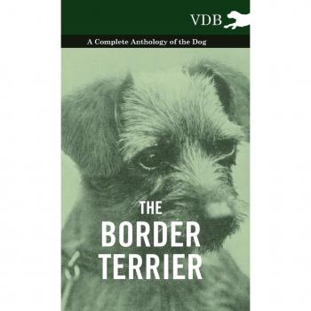 The Border Terrier