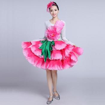 Flamenco Skirt Dress for Stage Performance DL6109