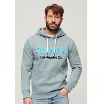 Sweat Classique à Capuche Superdry Homme Logo Bleu Clair XL