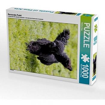 CALVENDO Puzzle Rennender Pudel
