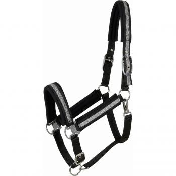 Brida de nylon “Catago Nate” para perros