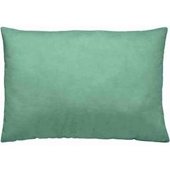 Ökologischer Kissenbezug Grün