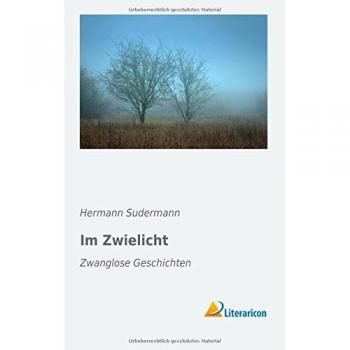 Im Zwielicht: Zwanglose Geschichten