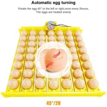 Duck and Chicken Egg Hatching Incubator