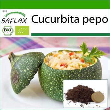 Sustainable Tondo di Nizza Zucchini Seeds with Pre-Mixed Potting Soil