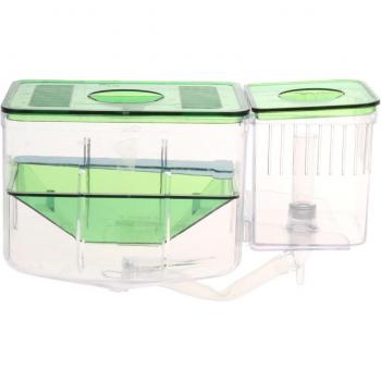 Aquarium Isolation Hatchery