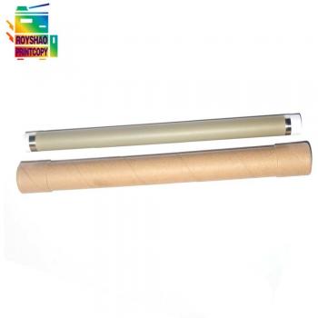 Funda película metalizada RM1-4209-FILM 10p, compatible HP P1505/P1606/M1522