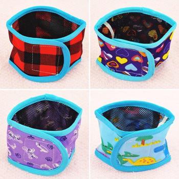Male Dog Physiological Shorts