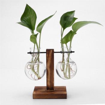 Decorative Hydroponic Plant Vase with Tray