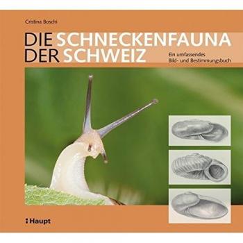 Die Schneckenfauna der Schweiz: Ein umfassendes Bild