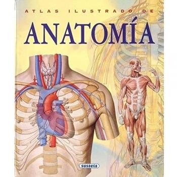 Anatomia/ Anatomy, Atlas Ilustrado/ Illustrated Atlas
