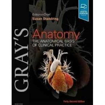 Gray's Anatomy: The Anatomical Basis of Clinical Practice by Susan Standring
