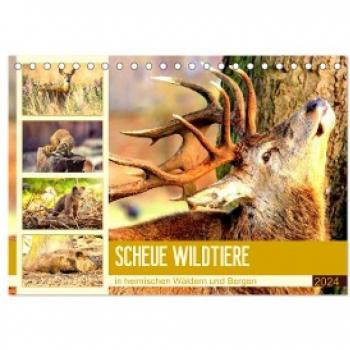 Scheue Wildtiere in heimischen Wäldern und Bergen (Tischkalender 2024 DIN A5 quer) CALVENDO Monatskalender