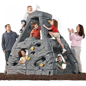 Step2 Kids Climbing Frame