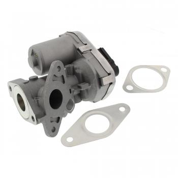 MAPCO 83001 AGR-Ventil