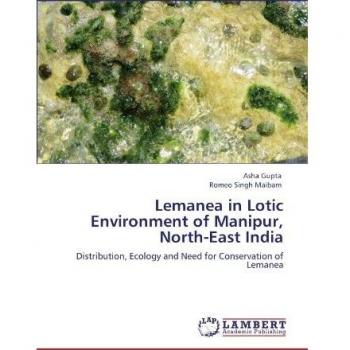 Lemanea in Lotic Environment of Manipur North-East India