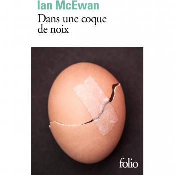 Dans Une Coque De Noix