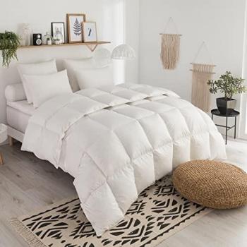 Couette Duvet Tradition TEMPEREE 70% Duvet d'Oie 240x260 cm Blanc Dodo