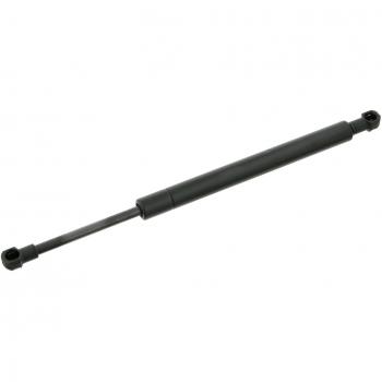 Molla Gas Lunotto Febi Bilstein Per VW