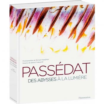 Passedat : Des abysses à la lumière