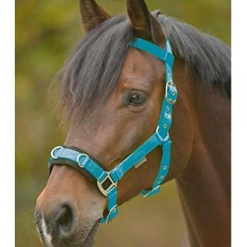 Waldhausen Azure Blue Nylon Cavesson for Ponies