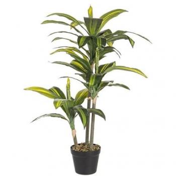 Pianta Decorativa Bizzotto Dracaena 43 Foglie 88 cm