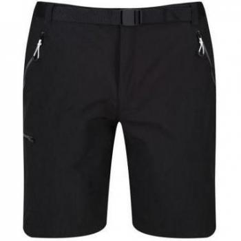 Short de Randonnée Xert III Homme Regatta