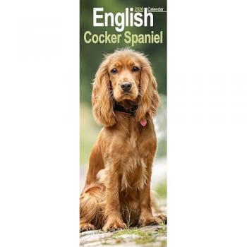 English Cocker Spaniel  Slim Calendar 2026  Dog Breed Slimline Calendar