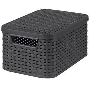 Curver Caja de almacenamiento con tapa Style L, 30 l, Plateado