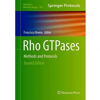 Rho GTPases