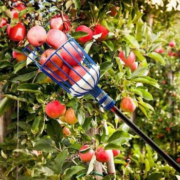 Dispositif de collecte de fruits
